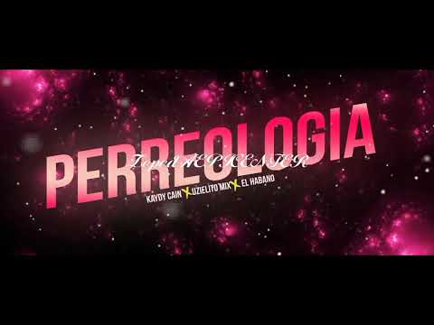 EPICENTER BASS Kaydy Cain X Uzielito Mix X El Habano - PERREOLOGIA