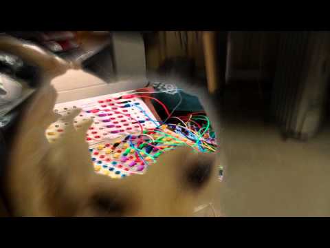 cellular automata sequencer & drums