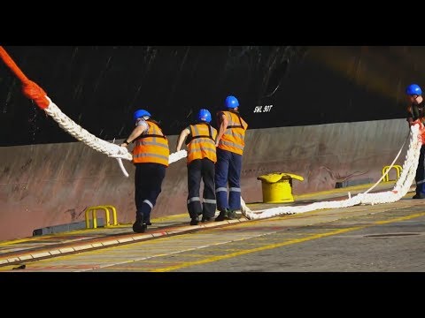 Docking the World's Largest Container Ship - MSC Gulsun.