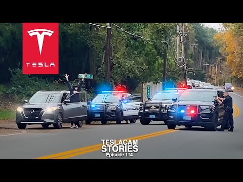 HELD AT GUNPOINT BY CONFUSING COP | TESLACAM STORIES 114