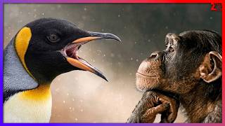 Linux Kullananlar NEDEN Sinirli?