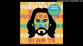 David Bisbal - Si No Te Hubieras Ido