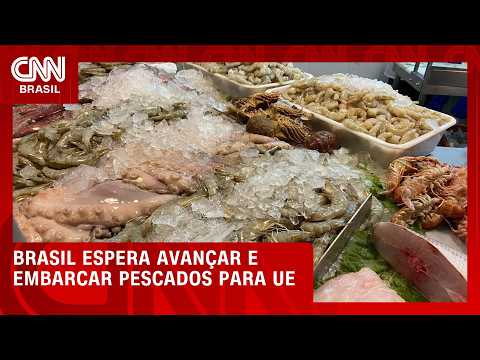 Reabertura do mercado europeu pode ampliar exportações de pescado em 20% | CNN AGRO NEWS