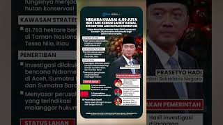 Negara Kuasai 4,09 Juta Hektare Kebun Sawit Ilegal, 900 Hektare Jadi Hutan Konservasi!