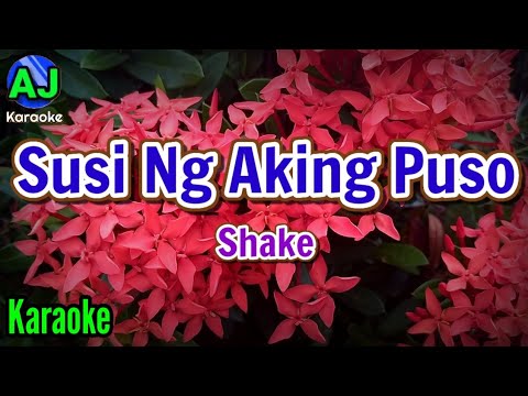 SUSI NG AKING PUSO (Original)- Shake | OPM KARAOKE HD