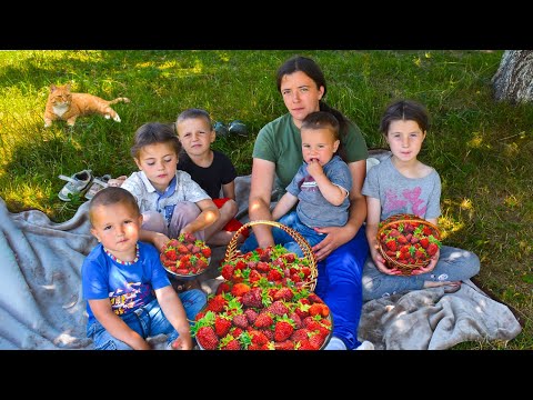 Једноставан живот ове породице далеко од цивилизације привукао је милионе гледалаца широм света!