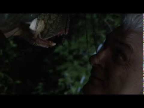 Croaker Trailer OFFICIAL