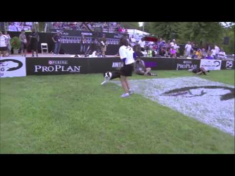 2013 IDC National Championships - 30-Weave Up-and-Back