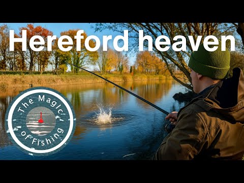 Huge fish, bites galore, and scary bait bills - this WINTER FISHING MECCA is mind blowing 🔥
