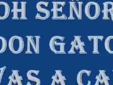 Señor Don Gato Lyrics