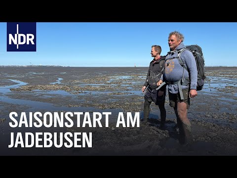 Unterwegs in Wilhelmshaven, Dangast und im Vareler Hafen | Nordseereport | NDR Doku