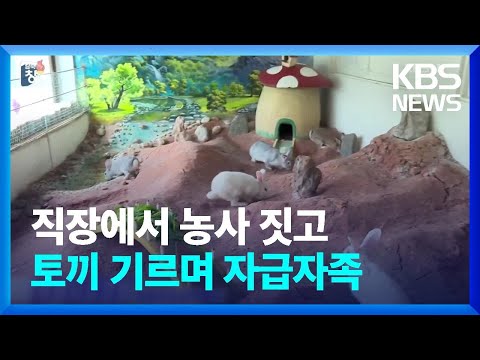 , title : '[요즘 북한은] 음료 공장의 토끼 사육…후방사업 강조 외 / KBS  2022.07.23.'