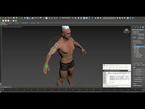 Accurig to Biped plugin 3ds max
