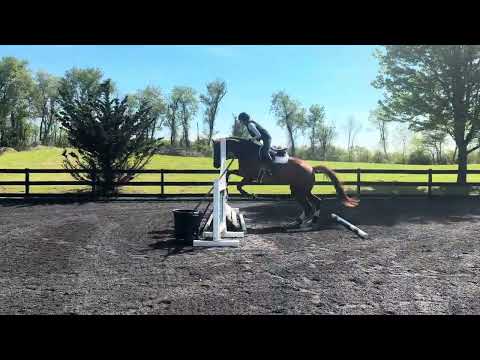 Piccolina video 1