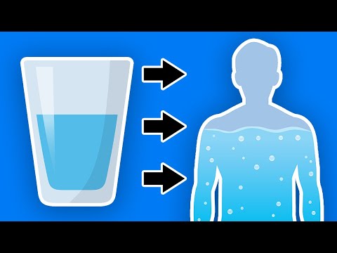 This Happens To Your Body When You Start Drinking More Water Every Day