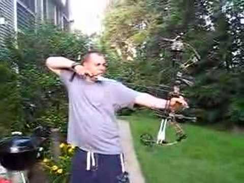 How's My Form (Elite GT-500)