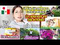 We Bought A WHEELCHAIR ‍ A DIFFERENT Kind Of Trip Ruthi San 07 26 14