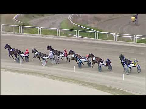 Napoli Trotto 21/09/2023 - 1ª prova di qualifica