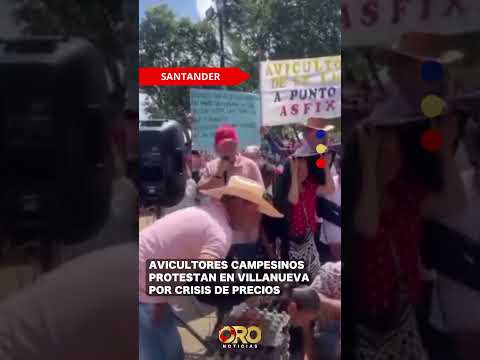 Productores de huevo denuncian pérdidas y bloqueos parciales en Villanueva | Oro Noticias