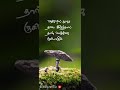 Vazhigalil Nooru Thadai Irunthal Than Vaalkai Rusiyagum Kamal Hasan Motivation Status Full HD Tamil