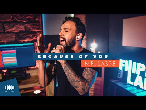 Mr. Labre - Because Of You