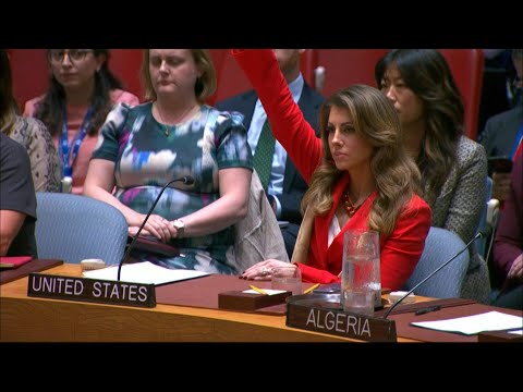 US again vetoes UN Security Council Gaza ceasefire call | AFP