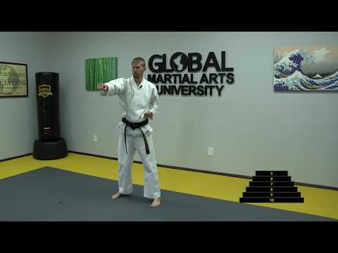 Quick Shotokan Karate Pyramid Workout thumbnail