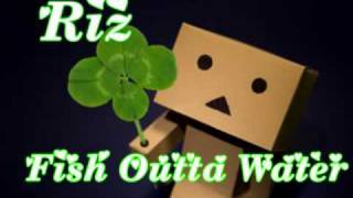 Fish outta water - Riz