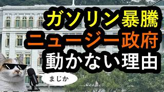 (ご当地情報) ガソリンが1ヶ月で2割高騰しても余裕かますNZ政府。シンガポールとの『謎の物々交換条約』を現地から解説