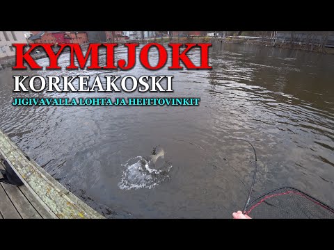 Kymijoen Korkeakoski - Lusikanheittoa Jigivavalla ja matalikon vinkit ( Kotka - Lohenkalastus )