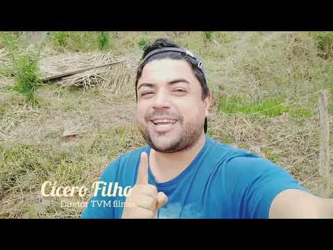 BABAÇU LOVE 🌴💛🌴