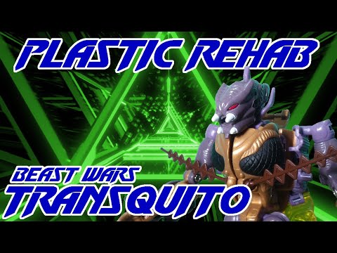 Plastic Rehab: Real Talk on Transquito