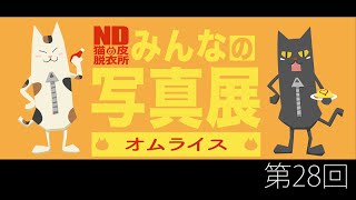 【第28回】NDみんなの写真展【オムライス・卵料理】