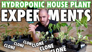 The Hydroponic House Plant Experiments
