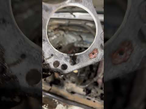 351w blown head gasket