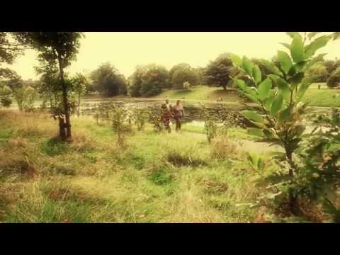 Latestbanda - Dreamcatcher (Official Music video)