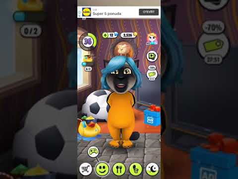 Maja Blagdan Sveta ljubav mačak Tom pjeva