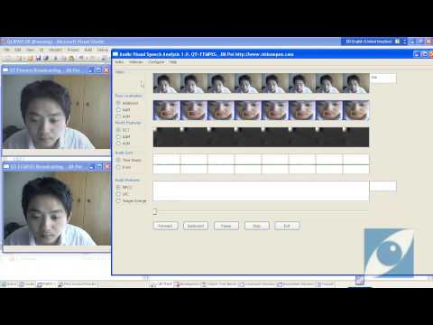 Audio Visual Integration Analysis
