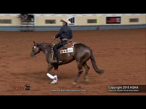 BEJEWLED ridden by KEVIN ROSENBAUM   2018 AQHA World Show Am  Reining, FINALS