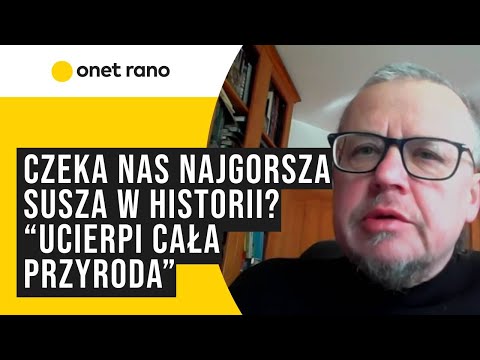 Wypowiedź eksperta o skutkach suszy — kliknij, by obejrzeć na YouTube