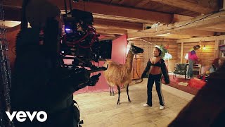 AronChupa, Little Sis Nora - Llama In My Living Room (Behind The Scenes)