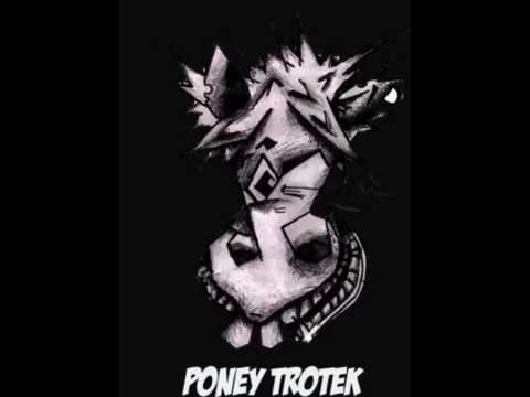 Poney trotek - De Leffes À Fligem