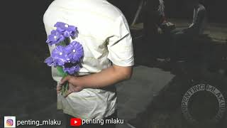 Download lagu Tresno tekane mati cipt black skin boy .cover by seniningan official mp3 Download lagu Tresno tekane mati cipt black skin boy .cover by seniningan official mp3