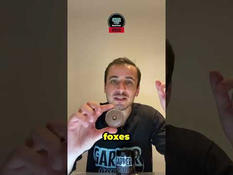 Fox’s Milk Chocolate Rounds | Biscuit Review