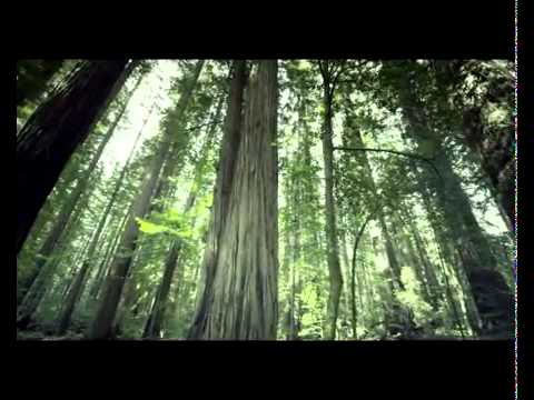 Filtered Tools feat.  Rasa Serra - Giria