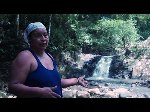 Help indigenous women conserve the environment