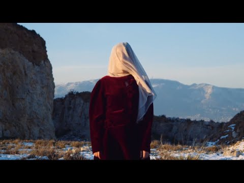 Sarah P. - Faulty Humans (Visualizer)