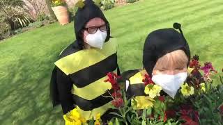 Robert Fripp and Toyah Wilcox as bees