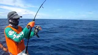 Amazing fishing mania !!! - Stella reel screaming