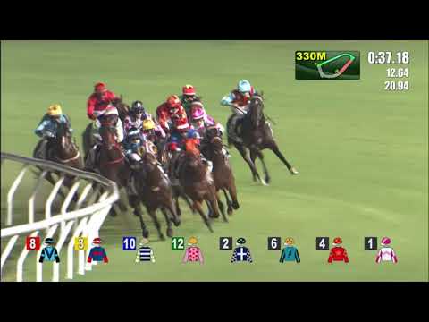 6/10/2021 (77) Noir Rider- Z Purton